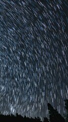 Wall Mural - vertical shot universe star trails of summer astrophotography night sky time lapse in california usa