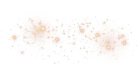 Canvas Print - glitter particles with transparency. bokeh background. shining stars png isolated