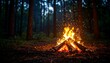 © Murai - Campfire in Forest at Night. (1)