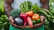 © Karn - Hands holding a diverse selection of fresh produce from a farmer's market, healthy food, local
