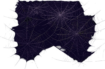 Ornate spider web design: intricate patterns, arachnid artistry, nature's geometric canopy vector