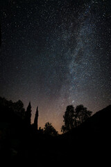 Canvas Print - north sky with stars and trees in foreground in south west france