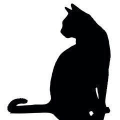 Wall Mural - black cat silhouette vector image for graphic design and illustration projects featuring feline pets
