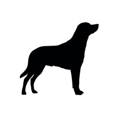 Wall Mural - Silhouette vector of a dog breed standing profile view for pet lovers and animal enthusiasts design 90