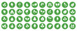 © Neo GT - Leaf icons set, green leaves in circles, nature and plant symbols vector collection