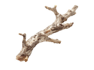 Dried twisted tree branch isolated on black background, Isolated On White Background, Png Transparent