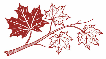 Illustration of a branch with three maple leaves in shades of red on a white background design element