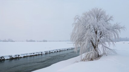 Wall Mural - winter scene featuring a flowing river and a solitary tree blanketed in snow