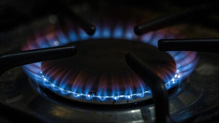 Wall Mural - macro shot of a stove burner with electrical resistance and heat wires, showcasing cooking technolog