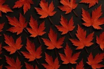 Wall Mural - deep-colored autumn maple leaves set on a dark background