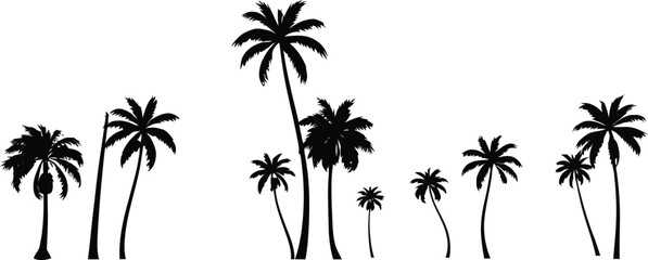 Palm Trees Silhouettes Vector Set, Tropical Beach Landscape Graphic, Summer Vacation and Holiday Design