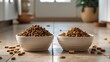 © TheWaterMeloonProjec - Dry pet food in bowls resting on the floor