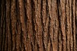 © NFTNexus - Zoomed-in view of cedar bark texture
