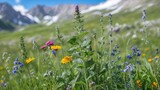 Alpine summer landscape featuring various herbs and flora
