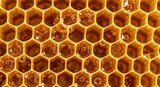 honey comb background