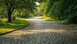 © Lubov - Scenic winding path through lush green park with cobblestone surface in afternoon light. Sun shines through trees, creating shadows. Peaceful natural scene for relaxation.