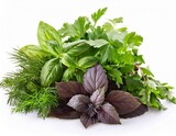 bunch of fresh herbs isolated on white
