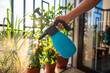 © DimaBerlin - Man hand spraying plants on balcony. Pest control, male care watering gardening flowers. Pest control, home gardening, hydration, moisture, summer routine, balcony plants, indoor outdoor greenery