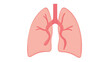 © Warittha - Anatomy & Physiology A diagram of pleura layers, isolated on white, showing parietal, visceral pleura, and pleural cavity for respiratory anatomy and chest disease(4)