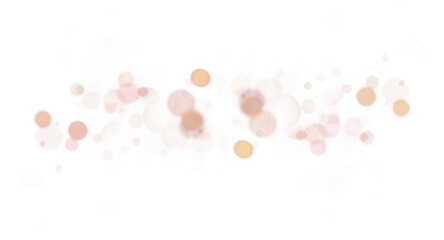 Wall Mural - bokeh background with shine particles