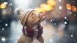 © Jason Yoder - Adorable Christmas pitbull puppy
