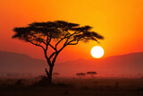 African Savanna Sunset with Acacia Tree Silhouette