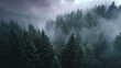© DesignsBurner - Misty forest landscape background wallpaper, dark moody trees, pine forest in fog, nature photography 4k