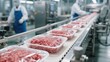 © David Zarzosa - Packaged ground meat on conveyor belt inside modern food processing factory with workers in background.