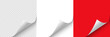 © dlyastokiv - Blank page with curled edge corner and shadow, rolled up stickers set, peel banners, bent sheet, page curl with shadow on blank sheet, curled page corner isolated