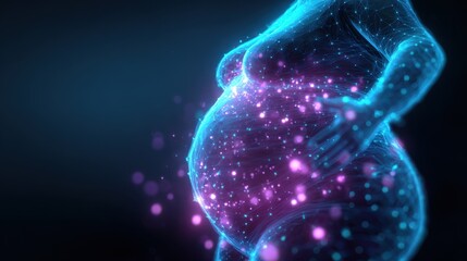 Wall Mural - Medical visualization of a pregnant woman's abdomen, highlighting fat metabolism and hormonal changes during pregnancy, providing insights into prenatal care and fetal development