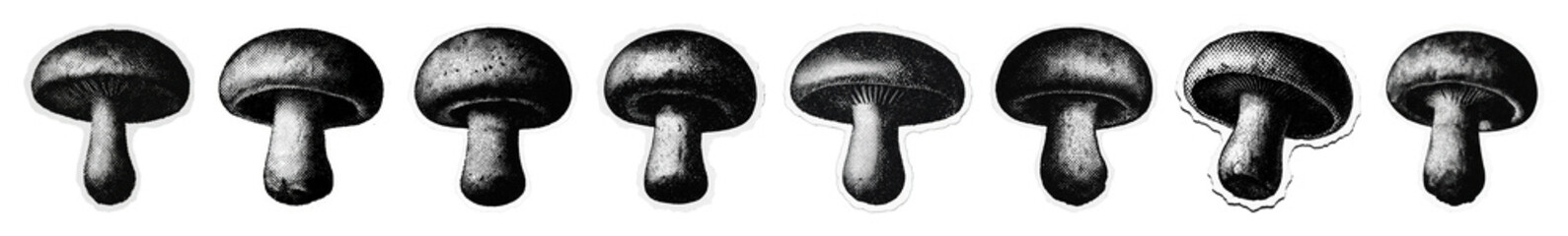 Wall Mural - vintage mushroom illustration pattern