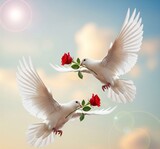 white dove with red rose