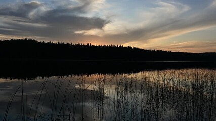 Wall Mural - Late day sunset at a northern lake reflecting in calm water with reeds in the foreground
