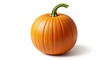 © PNG and JPEG Stock - A single ripe orange pumpkin with a green stem isolated on a white background