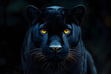 Detailed black panther portrait illustration, close-up of wild cat with piercing stare, powerful exotic predator concept artwork for wildlife, jungle, and mystery themes.