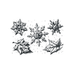 Wall Mural - Hand Drawn Snowflakes and Autumn Leaves Graphic