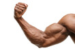 © Divine123victory - Muscular arm of a fit man flexing his bicep in a powerful pose on transparent background