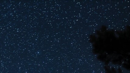 Wall Mural - milky way star-trails and rural countryside tree silhouettes. time-lapse video.