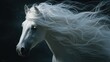© hafiz - Ethereal white horse portrait, its flowing mane dances against a dark, mystical backdrop