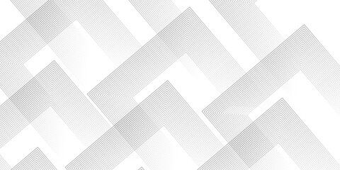 Wall Mural - abstract grey lines on white background with luxury shapes architecture plan. modern pattern elegant