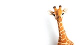 A stuffed giraffe against a plain white background.