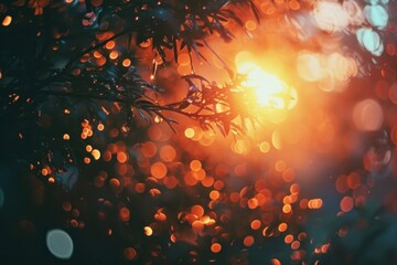 Wall Mural - sunset light leaks backgrounds outdoors nature.