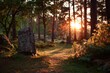 © Vlad - Sunset Gravestone. Nice Sunset Scenery in Stockholm Graveyard with Sun Rays