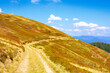 © Pellinni - mountain dirt road through grassy alpine meadow. wonderful outdoor adventure in autumn afternoon light. hiking through krasna ridge of transcarpathia, ukraine. clouds on the blue sky