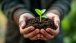 © Futuristictech - Hands Holding a Small Green Plant Growing in Soil, Symbolizing Environmental Care, Growth, and Sustainability in Nature