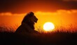 © wilson - Majestic lion silhouette sitting on grassland with sunset in background. African savannah landscape featuring big sun and powerful male animal
