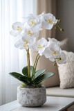 White orchids in grey planter