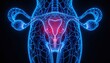© Graphinix - Detailed 3d anatomical rendering of the female reproductive system, highlighting the uterus with vibrant colors and a wireframe structure.