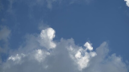 Wall Mural - Looking up at summer storm clouds and blue sky in this time lapse
