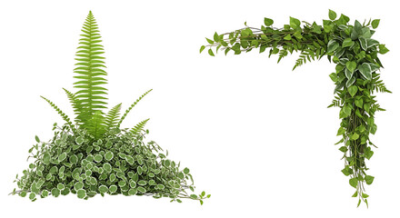 green fern and vines corner arrangement.